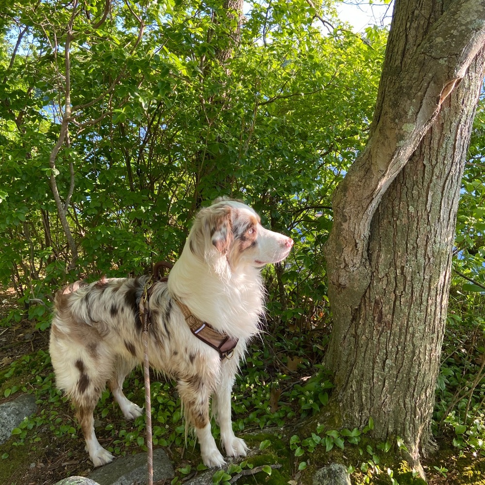 Meet your Posher, Kerri